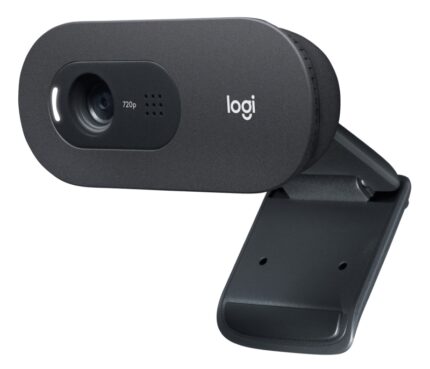 Logitech C505 HD USB Webcam